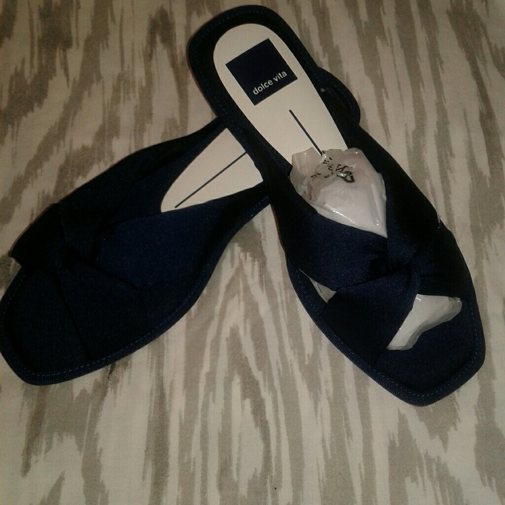 Dolce vita navy slides